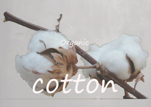 organic cotton collectie / alle modellen in bio katoen